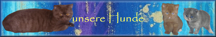 unsere Hunde