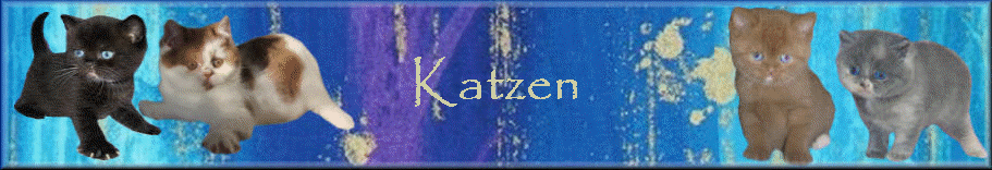 Katzen