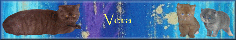 Vera