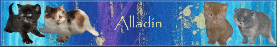 Alladin