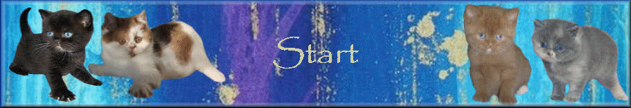 Start