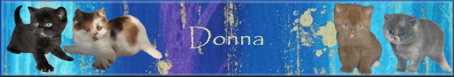 Donna