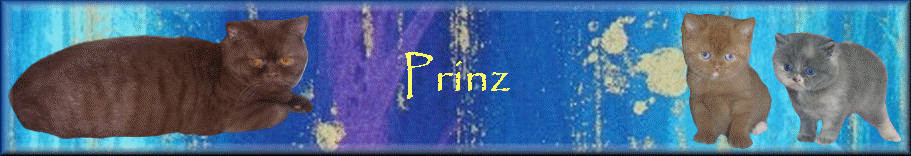 Prinz