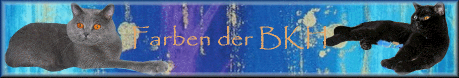 Farben der BKH