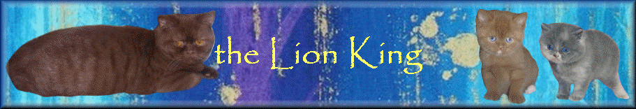 the Lion King