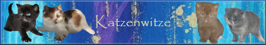 Katzenwitze