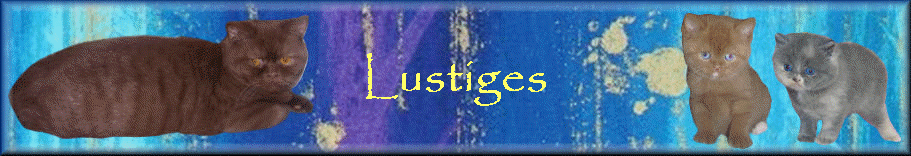 Lustiges