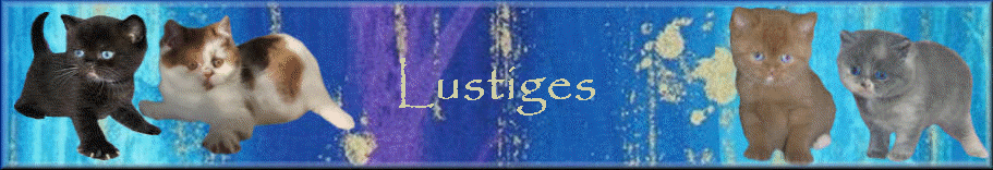 Lustiges